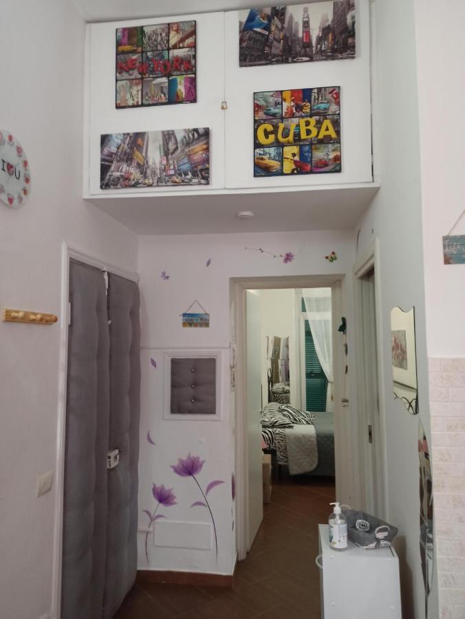 Casa Tortuga Appartement *