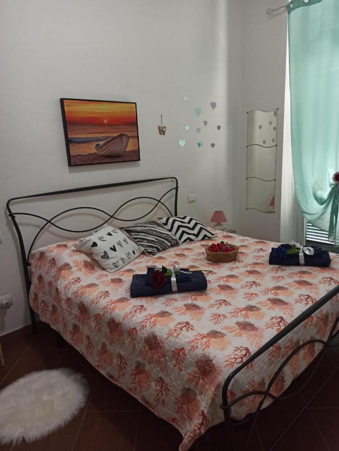 Casa Tortuga